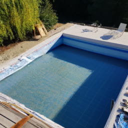 Accessoires et Produits d'Entretien : Maintenez votre Piscine dans un État Impeccable Argenteuil